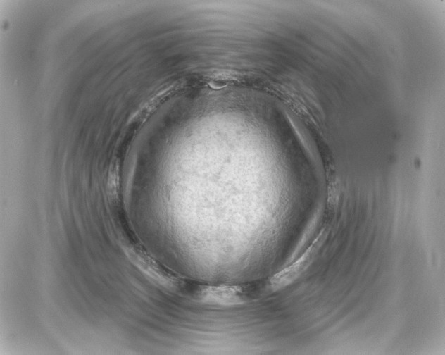 X0000087590179200705112312