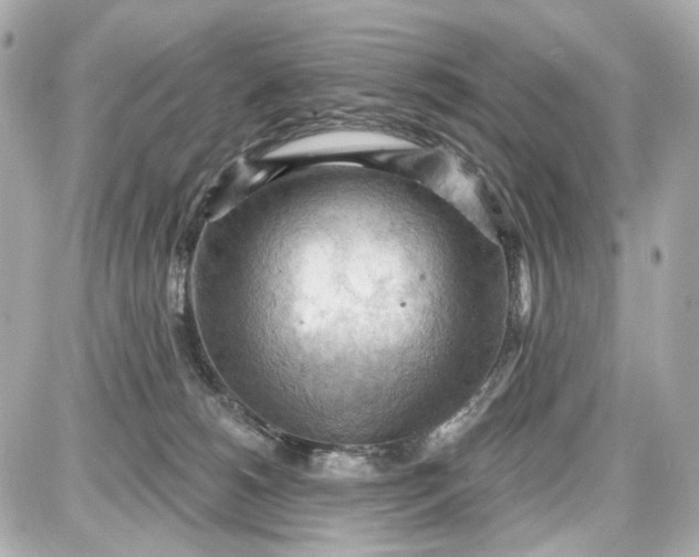 X0000087590180200705112312