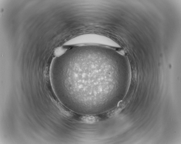 X0000087590181200705112312