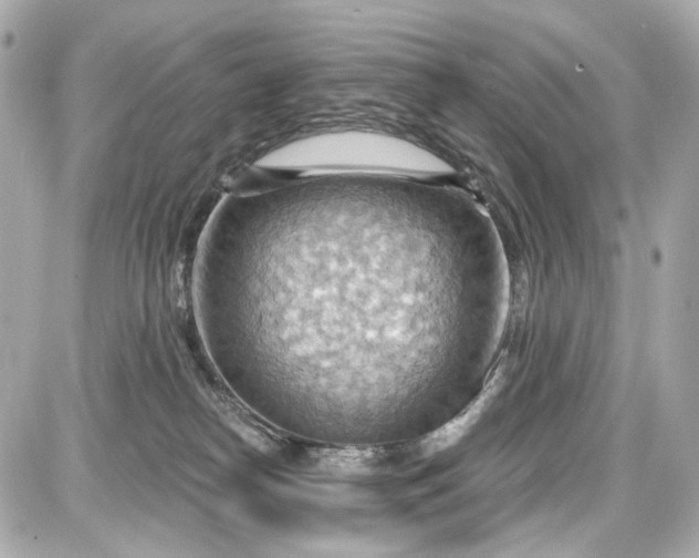 X0000087590182200705112312