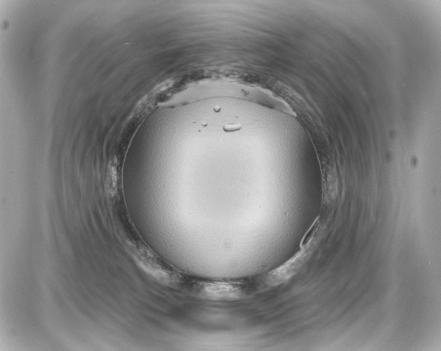 X0000087590183200705112312