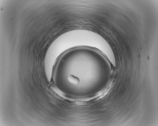 X0000087590184200705112312