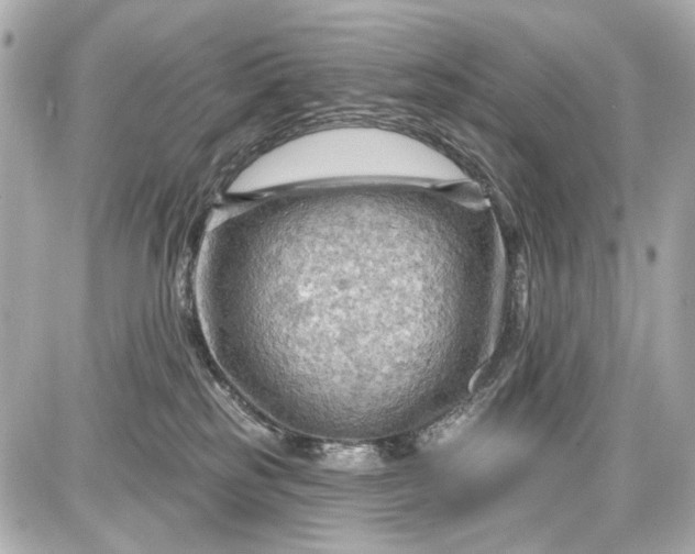 X0000087590185200705112312