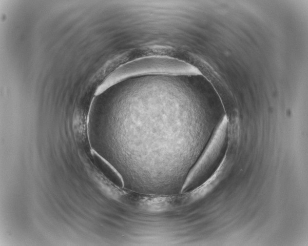 X0000087590186200705112312