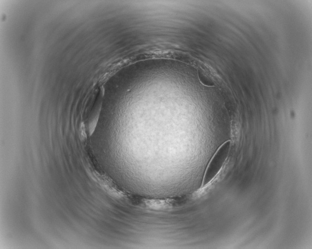 X0000087590187200705112312