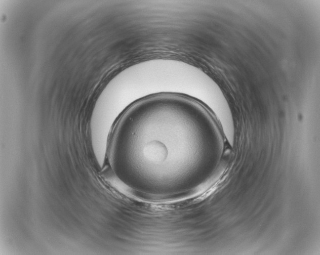 X0000087590188200705112312