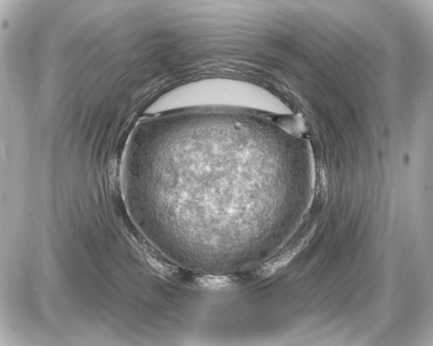 X0000087590189200705112312