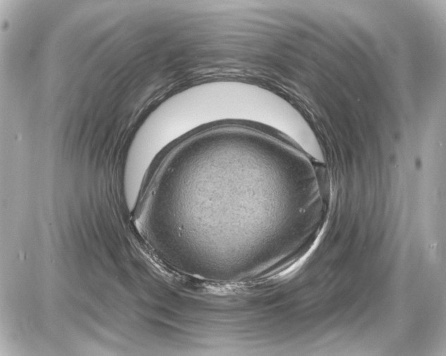 X0000087590190200705112312