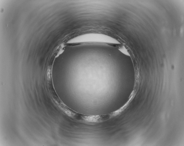 X0000087590191200705112312