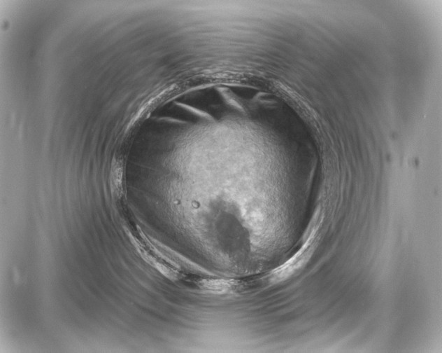 X0000087590192200705112312