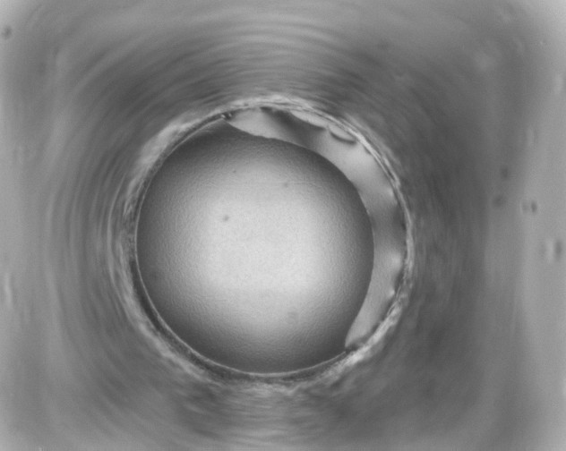 X0000087590193200705112312