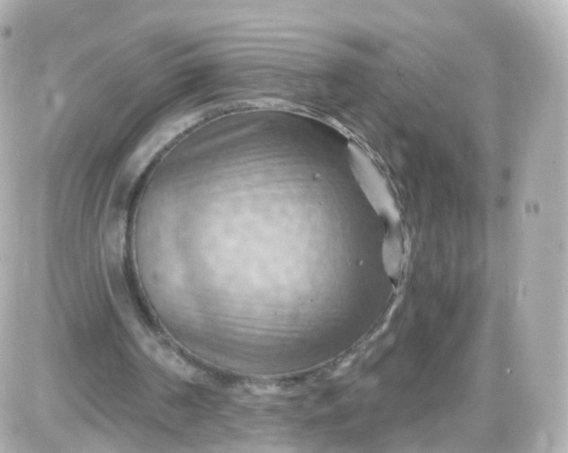 X0000087590194200705112312