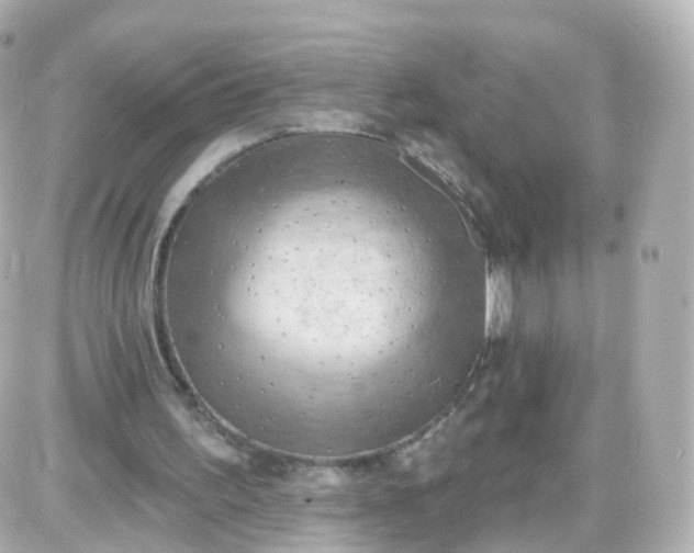 X0000087590195200705112312