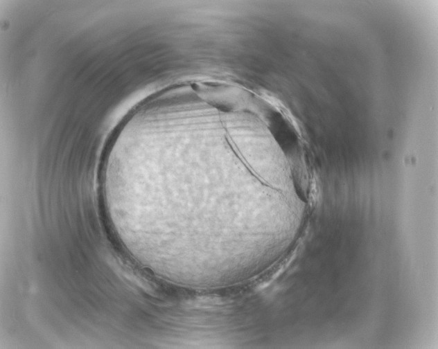 X0000087590196200705112312