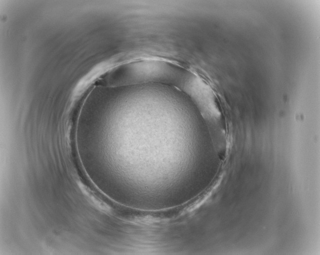 X0000087590197200705112312