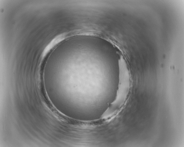 X0000087590198200705112311