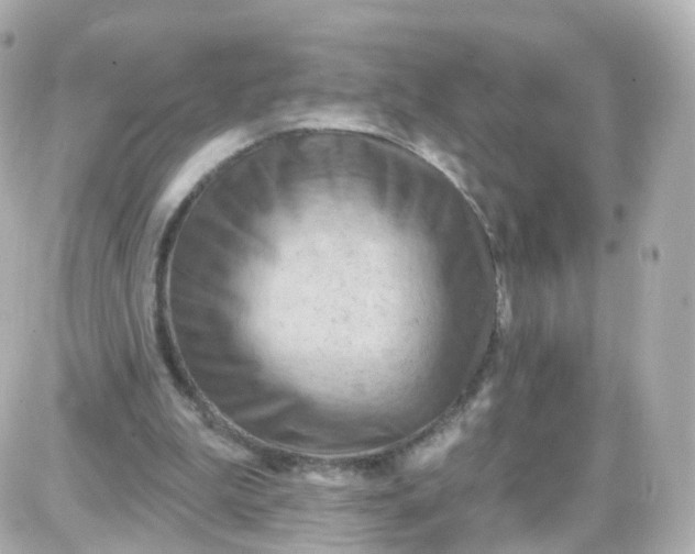 X0000087590199200705112311