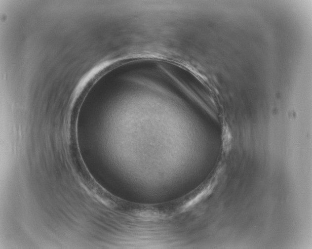 X0000087590200200705112311