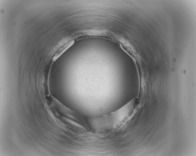 X0000087590201200705112311