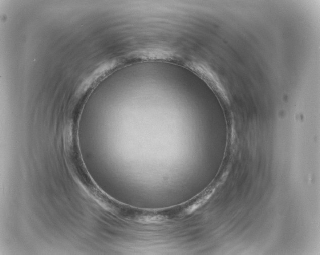 X0000087590202200705112311