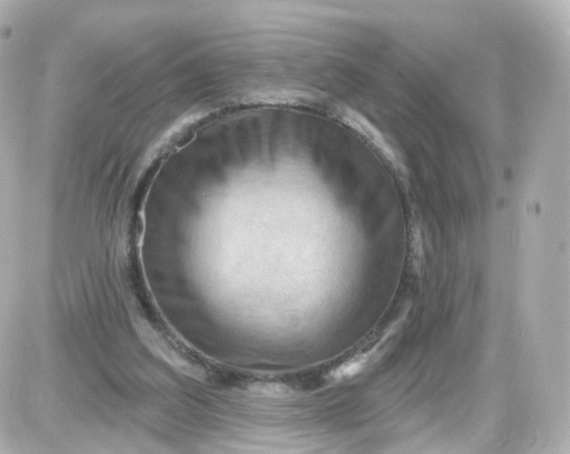 X0000087590203200705112311