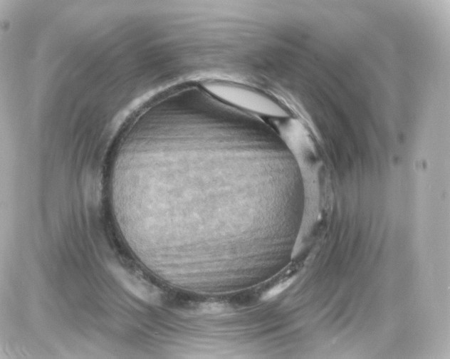 X0000087590204200705112311