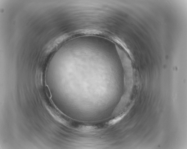 X0000087590205200705112311