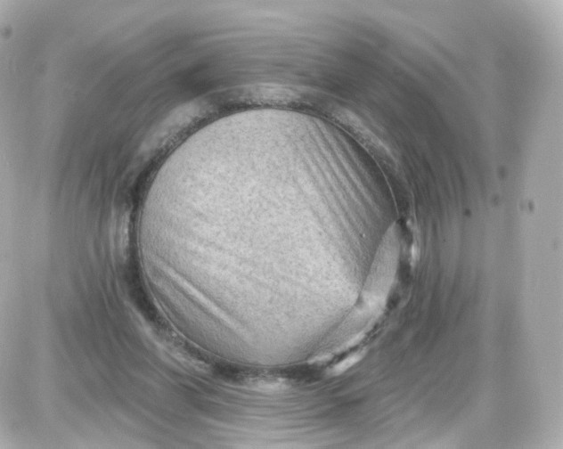 X0000087590206200705112311