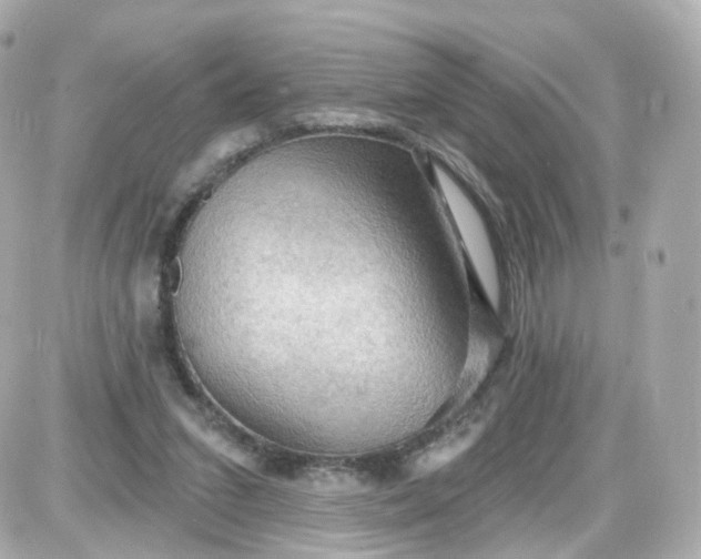 X0000087590207200705112311