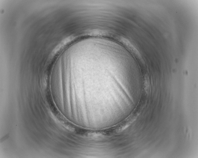 X0000087590208200705112311