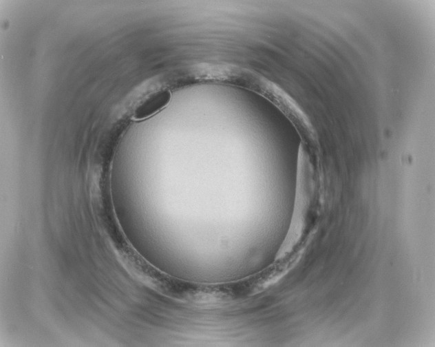 X0000087590209200705112311