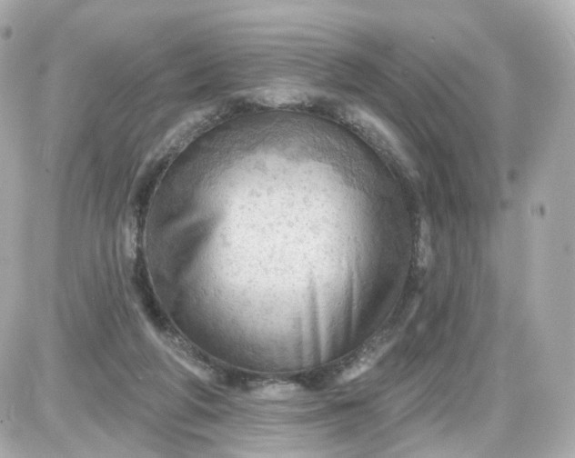 X0000087590210200705112311