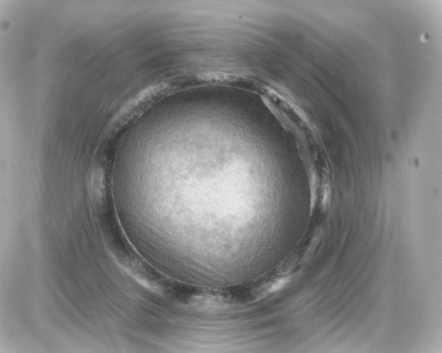 X0000087590211200705112311