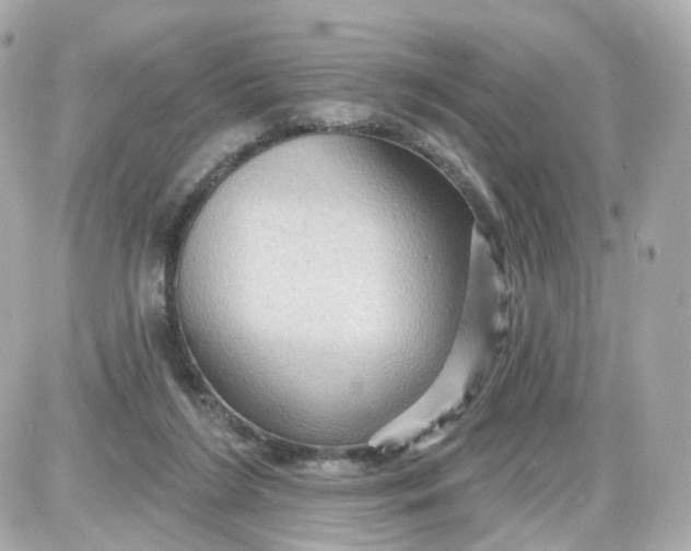 X0000087590212200705112311