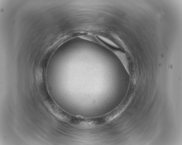 X0000087590213200705112311