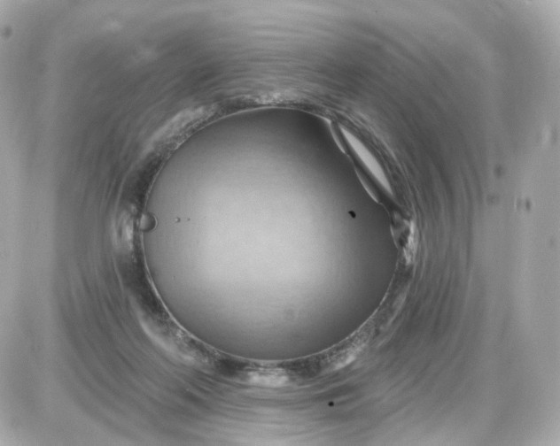 X0000087590214200705112311