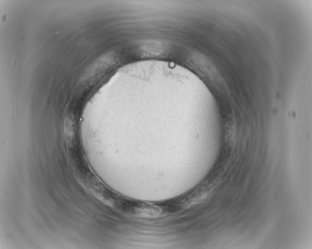 X0000087590215200705112311