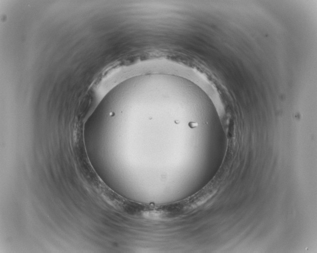 X0000087590216200705112311