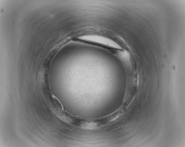 X0000087590217200705112311