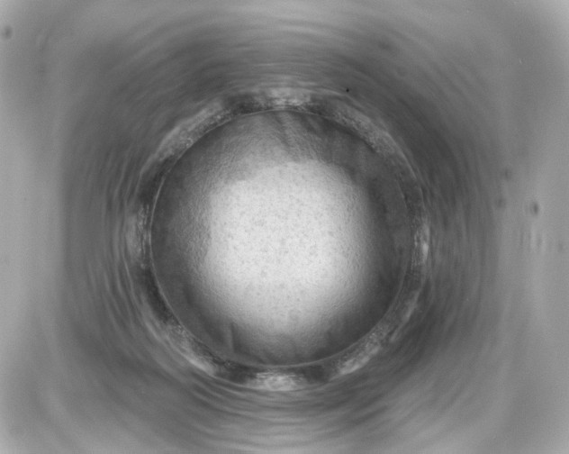 X0000087590218200705112311