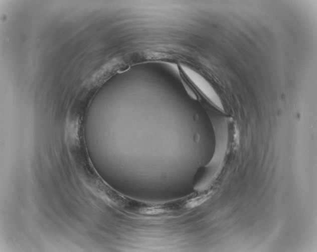 X0000087590219200705112311