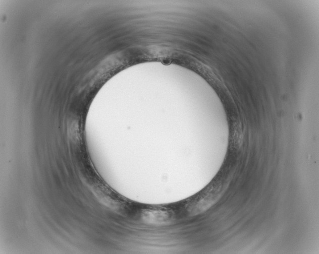 X0000087590220200705112311