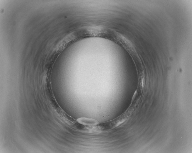 X0000087590221200705112311