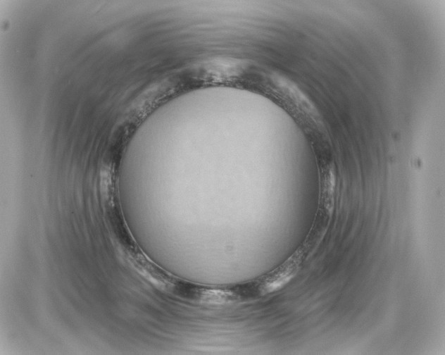 X0000087590222200705112311