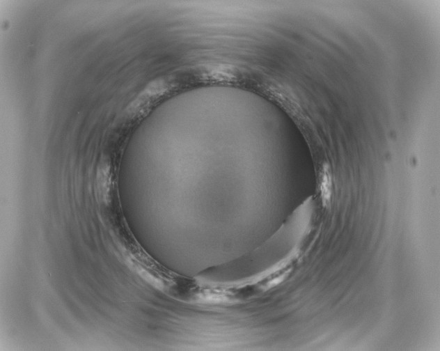 X0000087590223200705112311