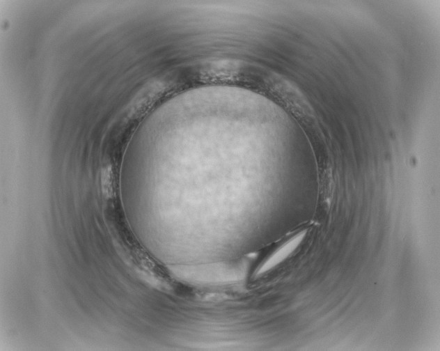 X0000087590224200705112311