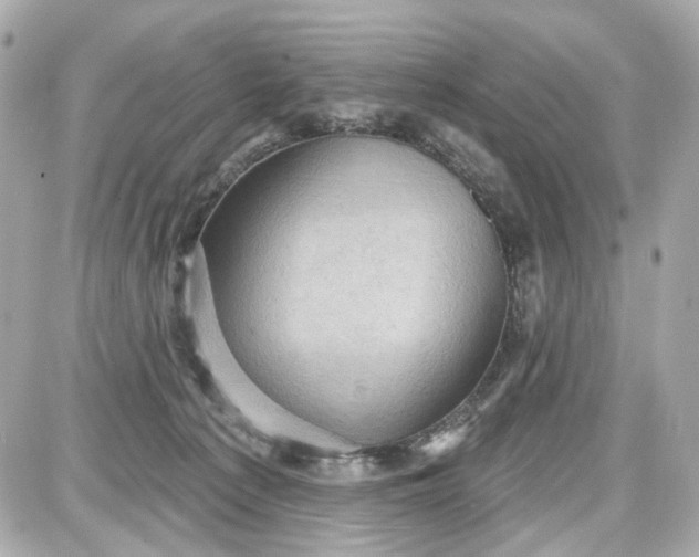 X0000087590225200705112311