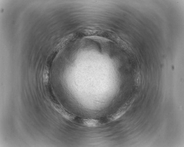 X0000087590226200705112311