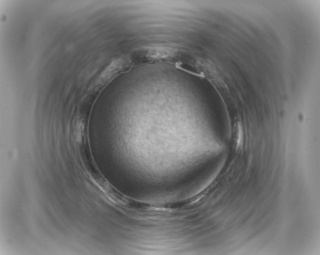 X0000087590227200705112311