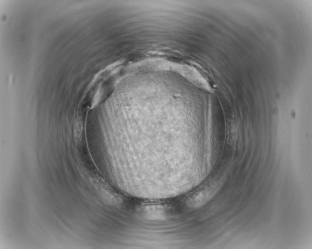 X0000087590228200705112311